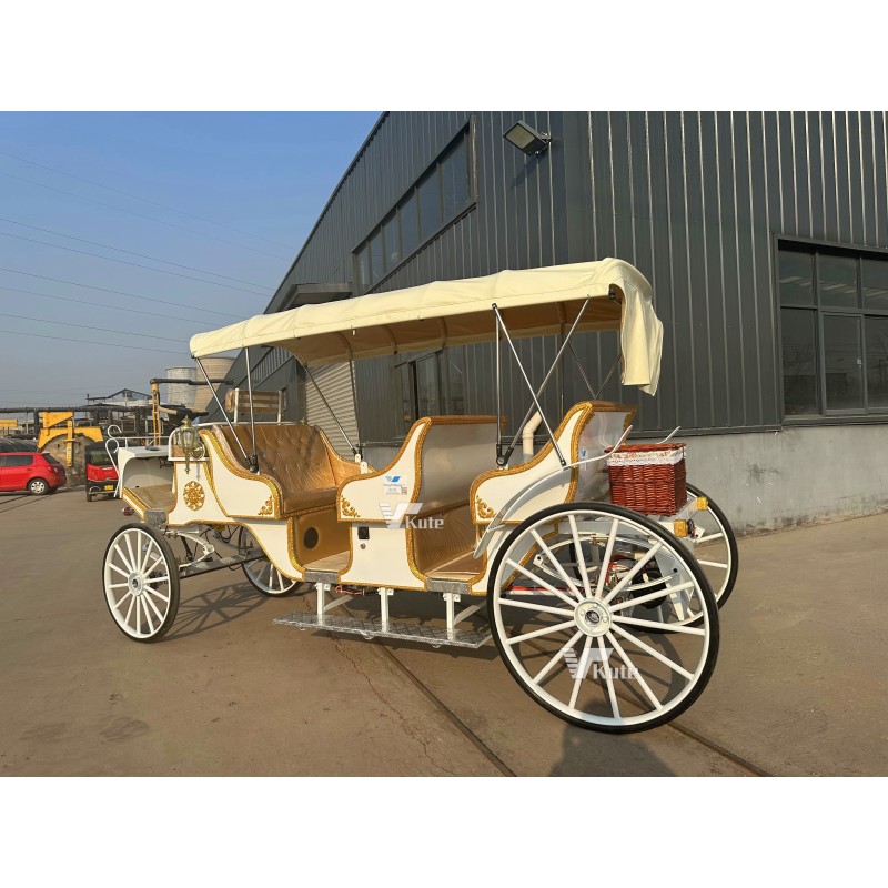 Electric Sightseeing Carriage Manufacturer - Blue Three Row Family Photo Amusement