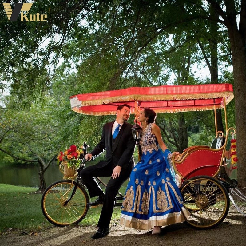 Electric Rickshaw Manufacturer - Rear Passenger 500W Motor Tricycle