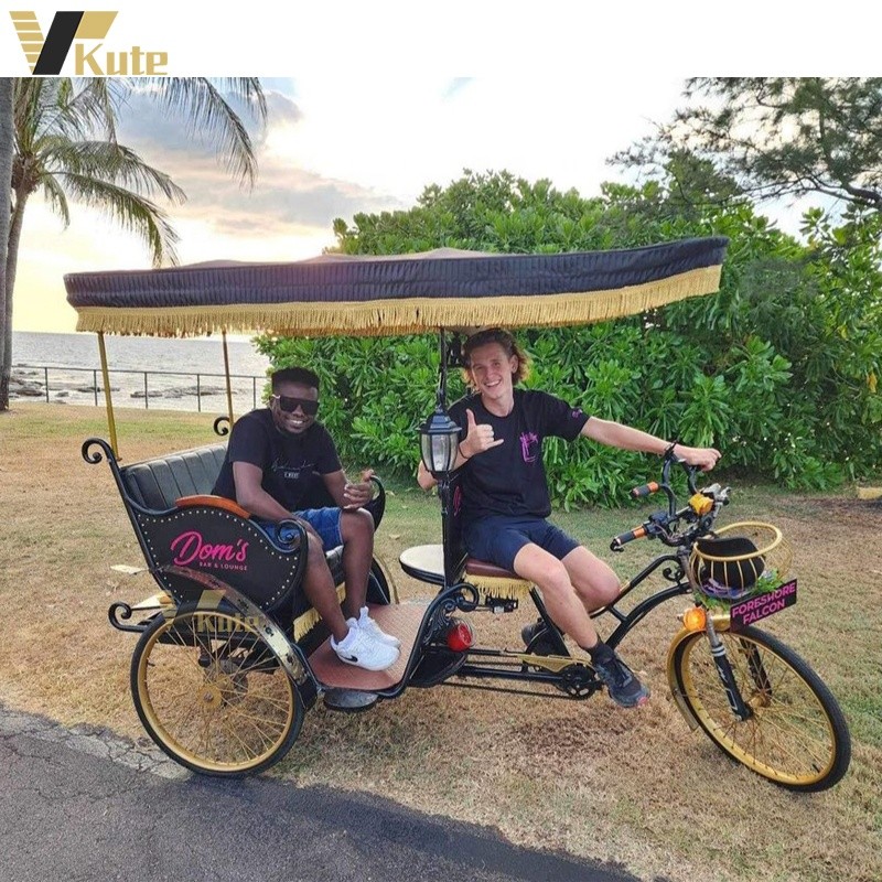 Transport Vehicle Factory - 2 Seats Pedicab New Model Rickshaw