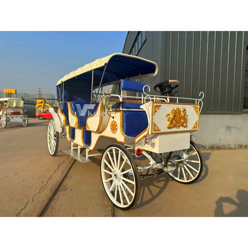 Electric Sightseeing Carriage Manufacturer - Blue Three Row Family Photo Amusement