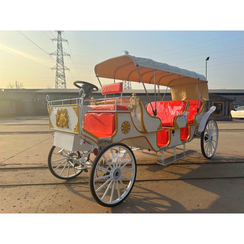 Electric Sightseeing Carriage Manufacturer - Blue Three Row Family Photo Amusement