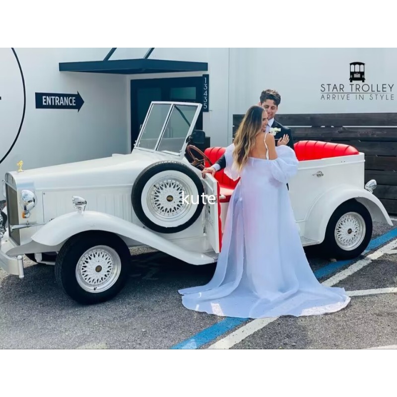 Electric Buggy Manufacturer - Six Passengers High Quality for Hotels