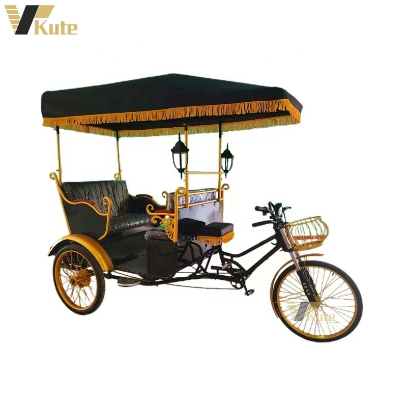 Electric Rickshaw Manufacturer - Rear Passenger 500W Motor Tricycle
