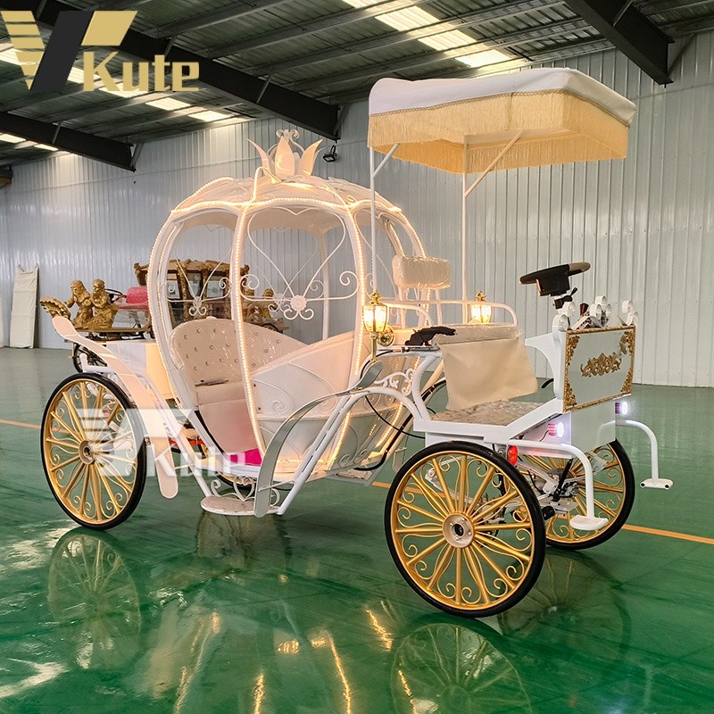 Electric Carriage Manufacturer - Hot Selling Horseless Wedding Sightseeing