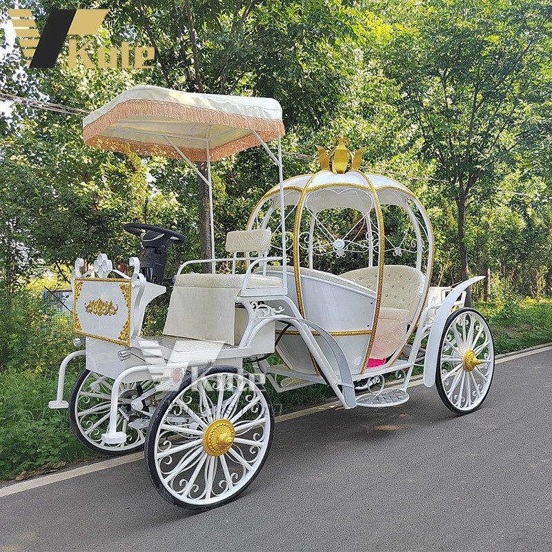 Electric Carriage Manufacturer - Hot Selling Horseless Wedding Sightseeing