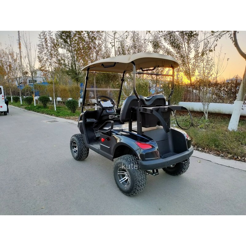Utility Golf Cart Factory - Customizable 6-Seater Lead Acid Battery