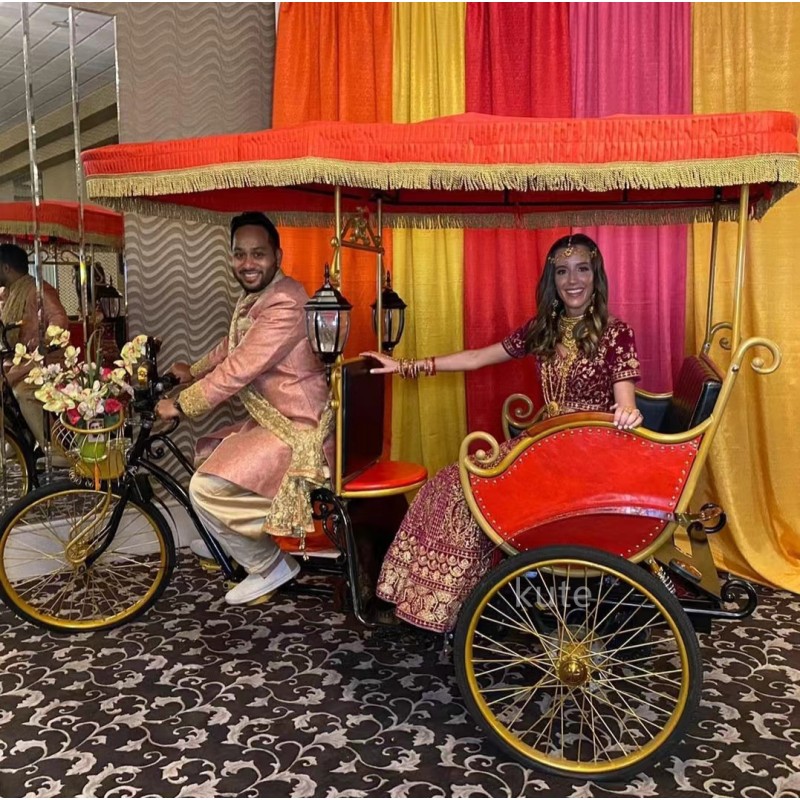 Transport Vehicle Factory - 2 Seats Pedicab New Model Rickshaw