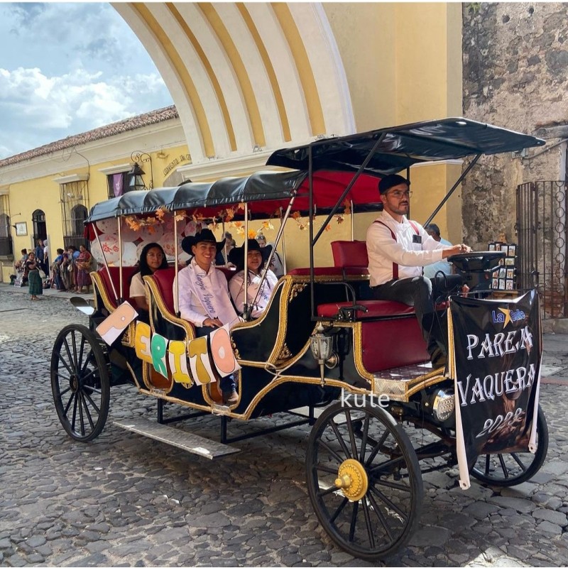 Electric Sightseeing Carriage Manufacturer - Blue Three Row Family Photo Amusement