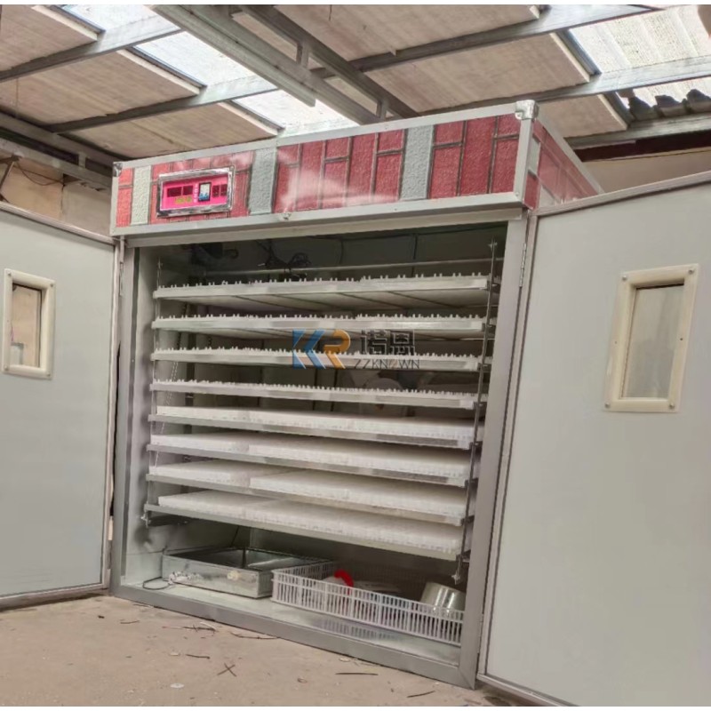 Egg Hatcher Factory - Commercial Electric Solar