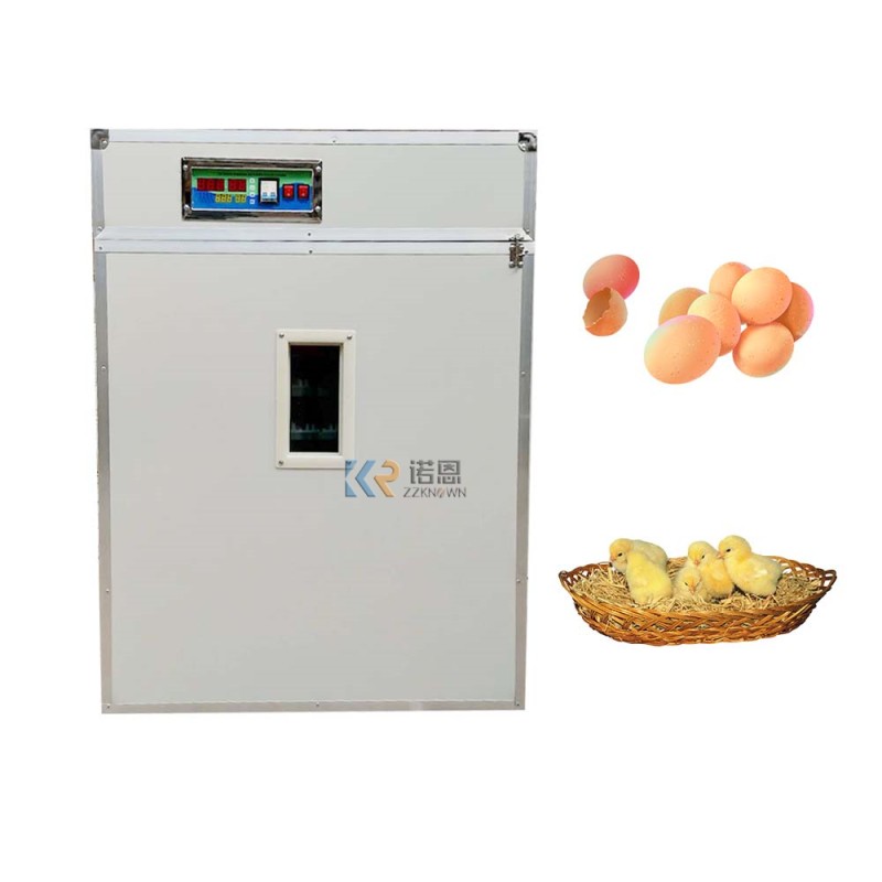 Egg Incubator Factory - Automatic 20000 Solar