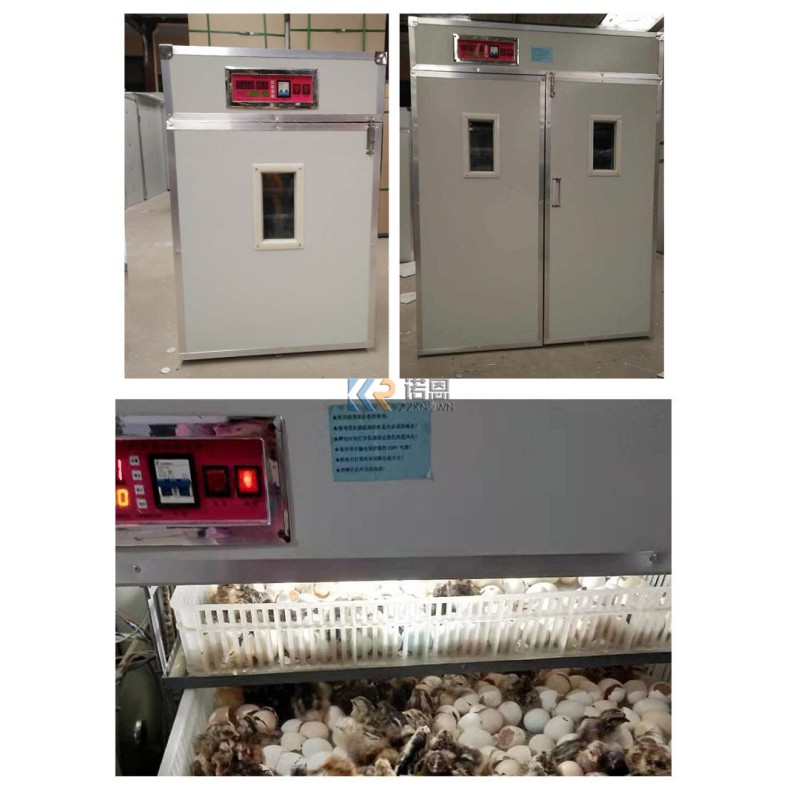 Egg Incubator Factory - Small Sized Holland Automatic