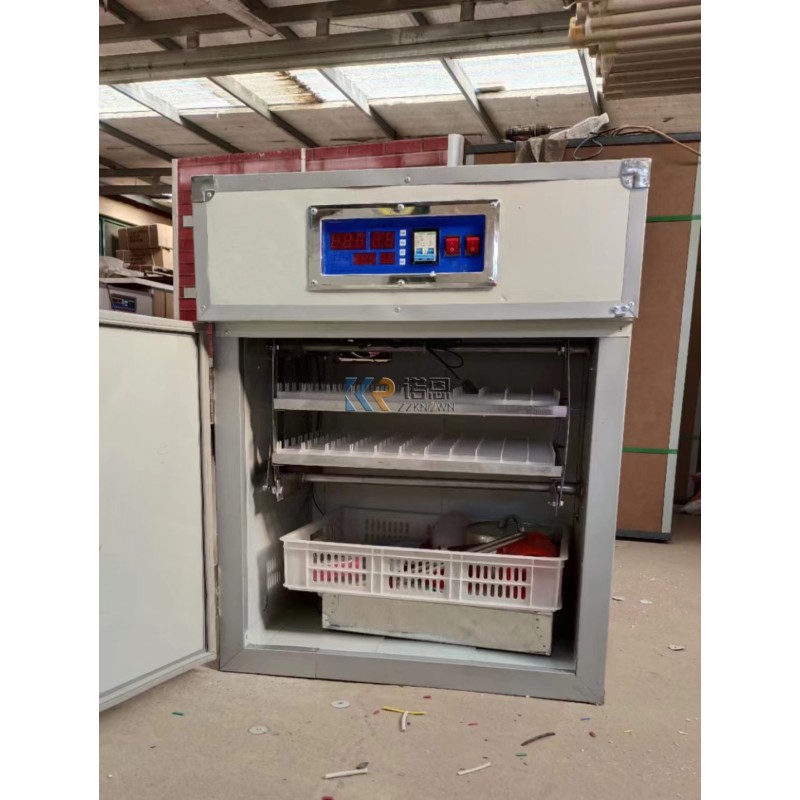 Egg Hatchery Factory - Commercial 5000 Poultry