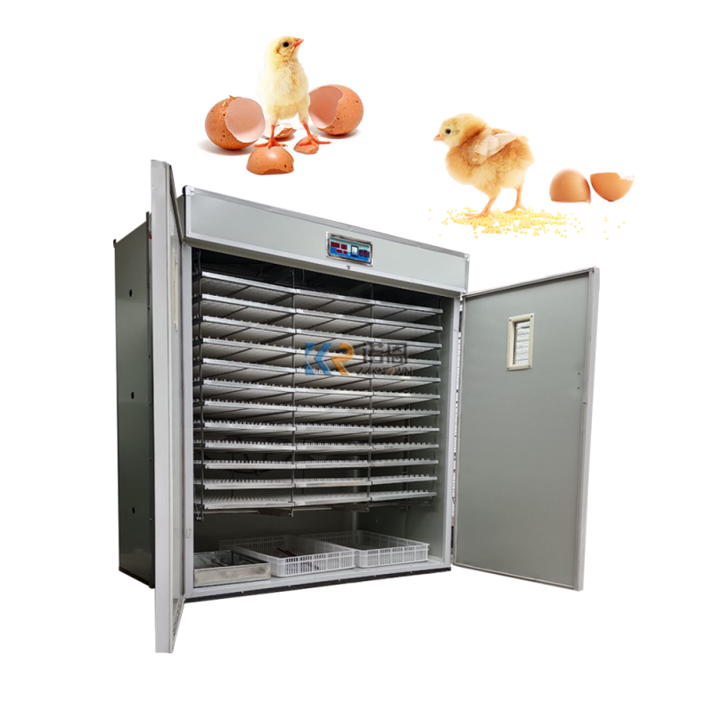 Egg Incubator Factory - Industrial Hatching Automatic