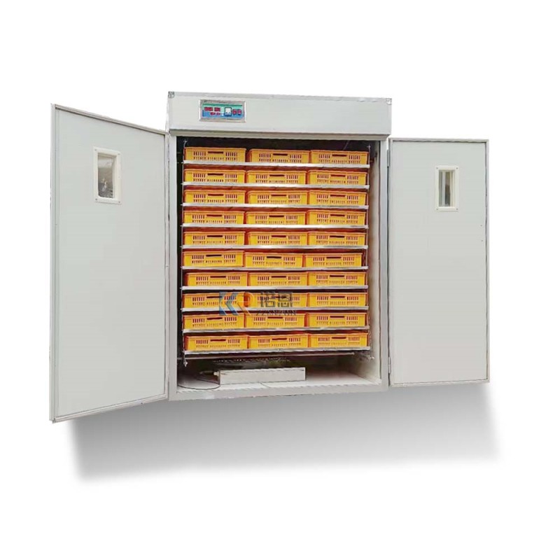 Egg Incubator Factory - Automatic 20000 Solar