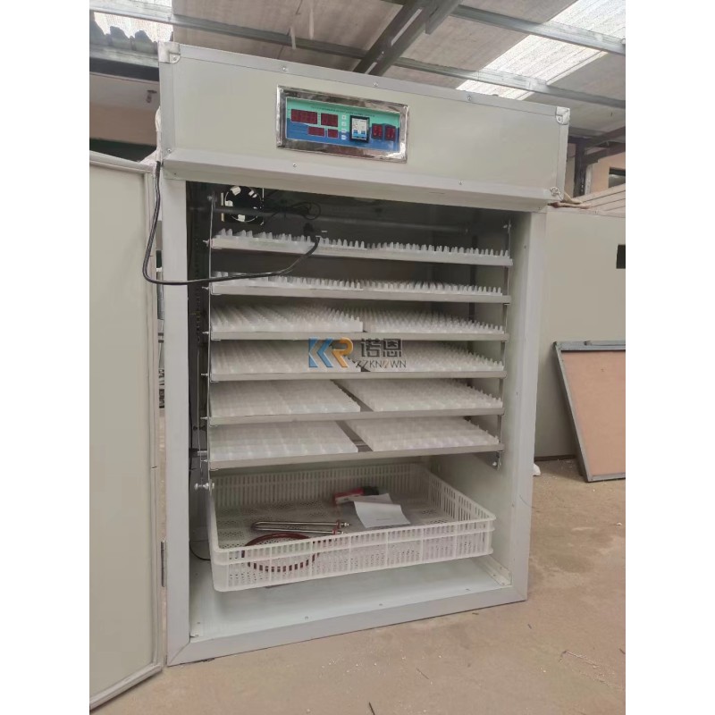 Egg Hatchery Factory - Commercial 5000 Poultry