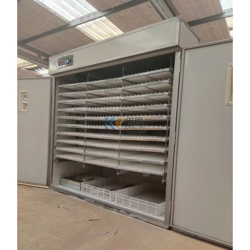Incubator Manufacturer - Large Sized 50000 Chicken