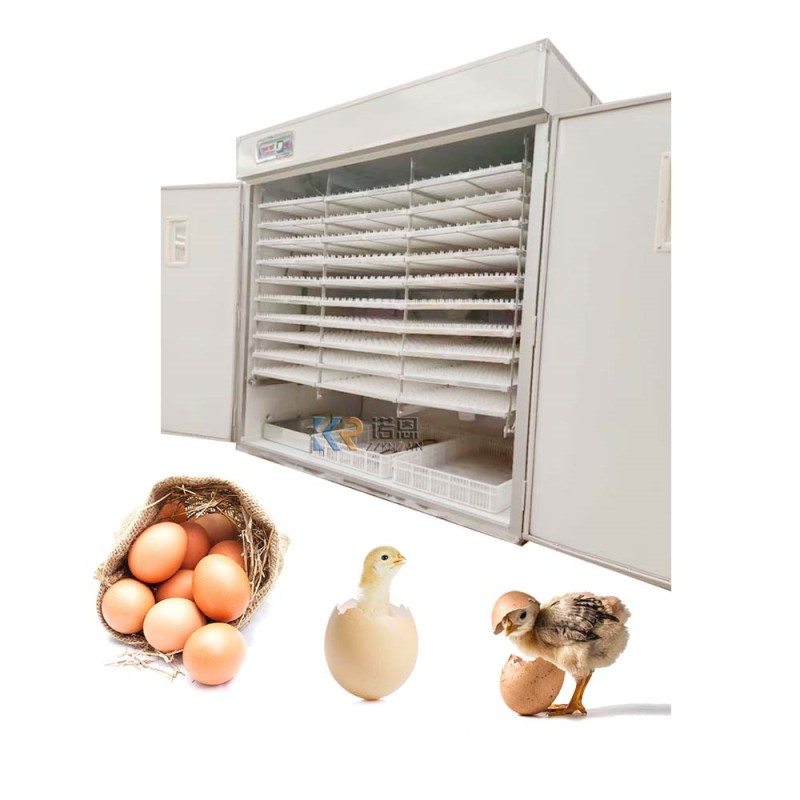 Incubator Manufacturer - Fully Automatic 256 PCS