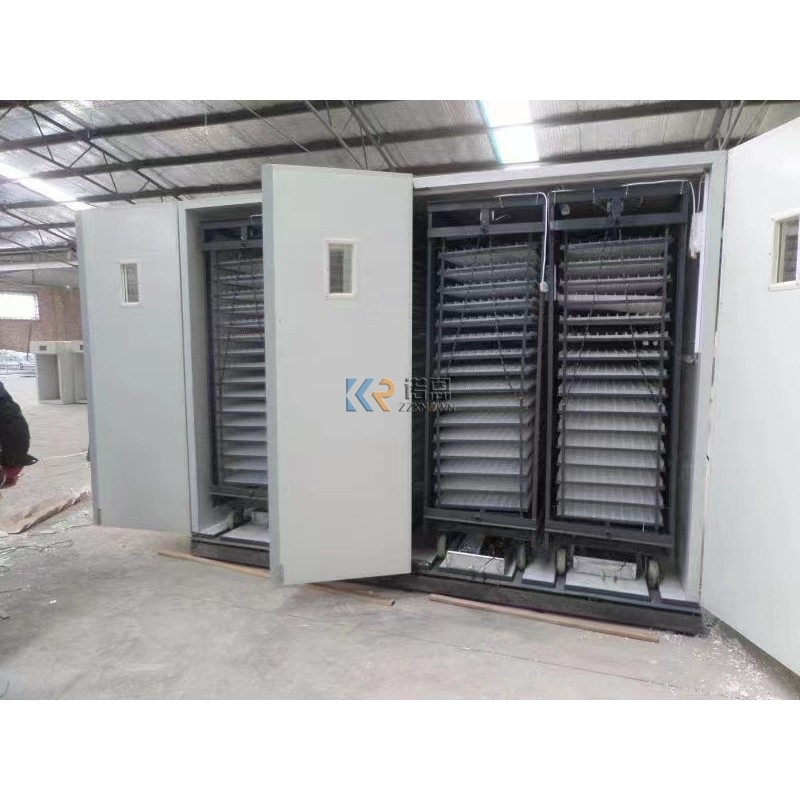 Egg Incubator Manufacturer - 240 PCS Cabinet Hatching