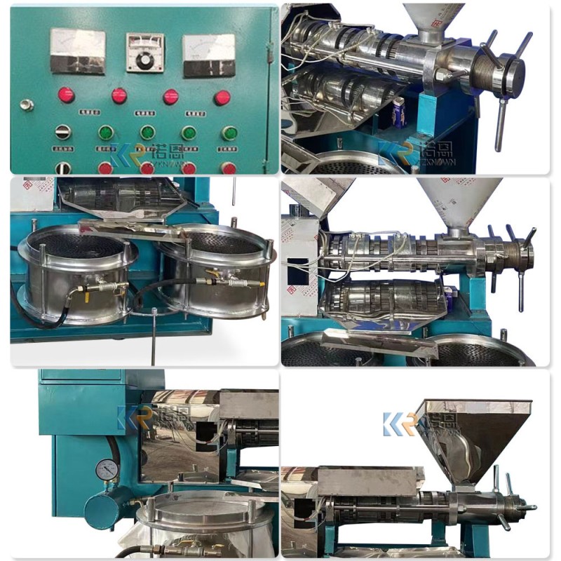 Oil Press Factory - Stainless Steel Safflower