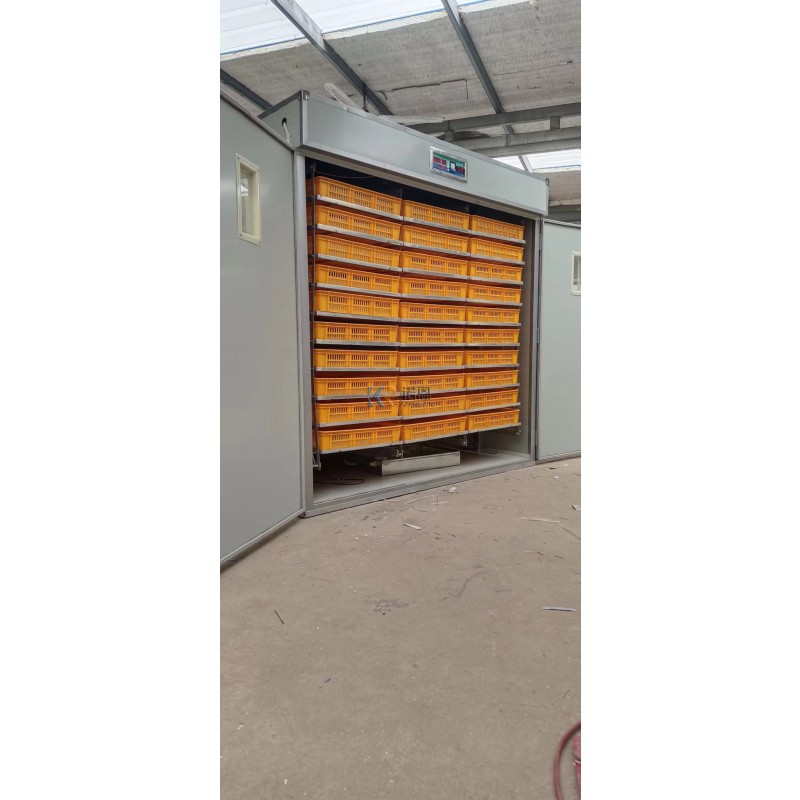 Egg Incubator Manufacturer - 240 PCS Cabinet Hatching
