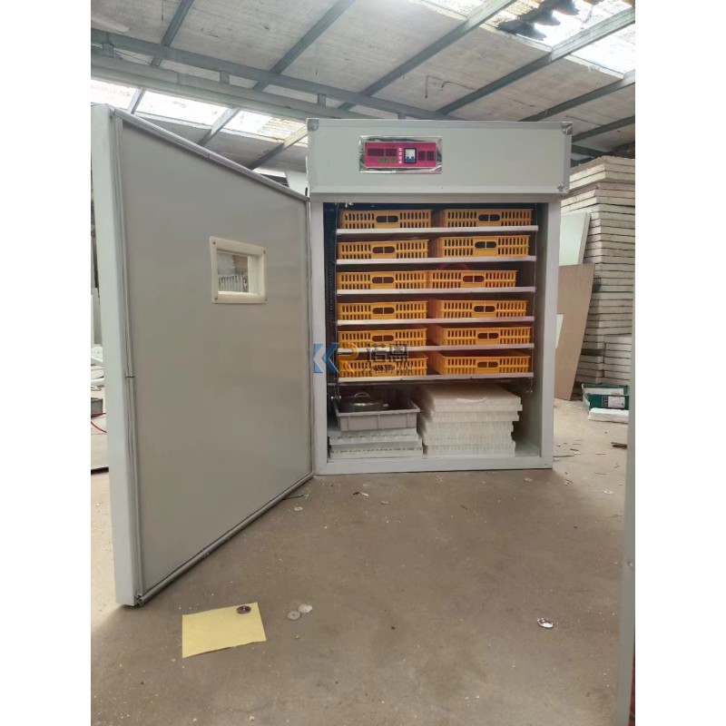 Incubator Manufacturer - Large Sized 50000 Chicken