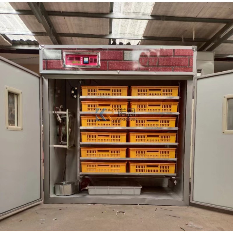 Egg Incubator Factory - Small Sized Holland Automatic