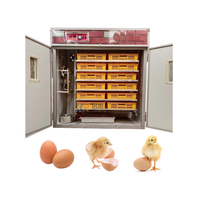 Incubator Manufacturer - High Accuracy Solar Morocco