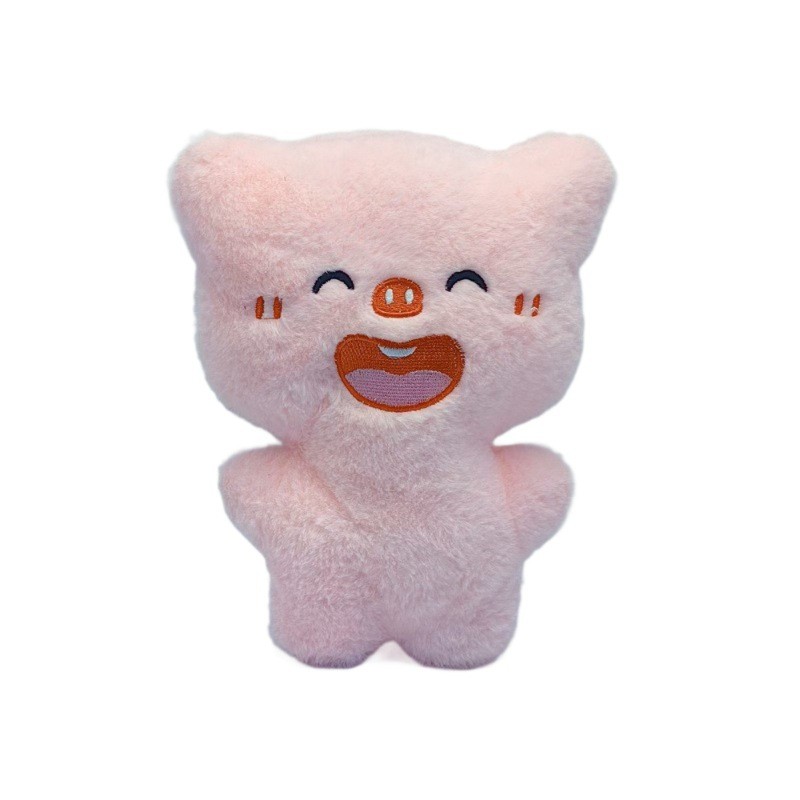 Princess Bear Plush Manufacturer - OEM Custom Mesh Lining Washed
