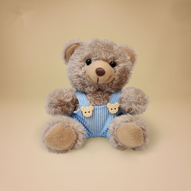 Moving Ears Teddy Bear Manufacturer - OEM Custom T-shirt Plush