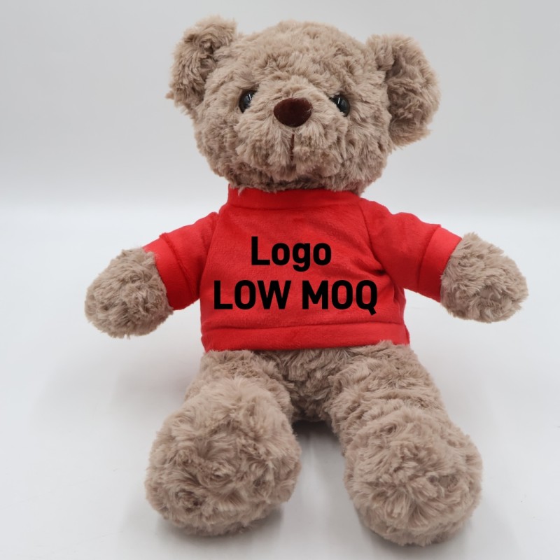 Graduation Teddy Bear Supplier - OEM Custom Logo T-shirt Design
