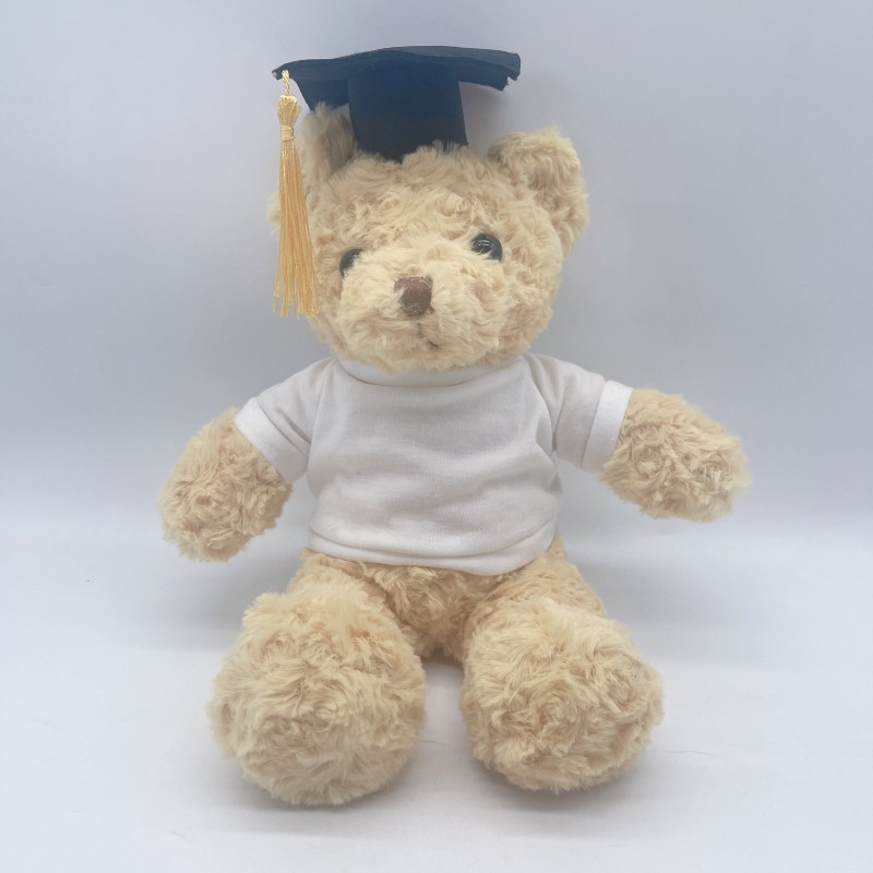 Teddy Bear with Hoodies Manufacturer - OEM Custom Embroidered Plush