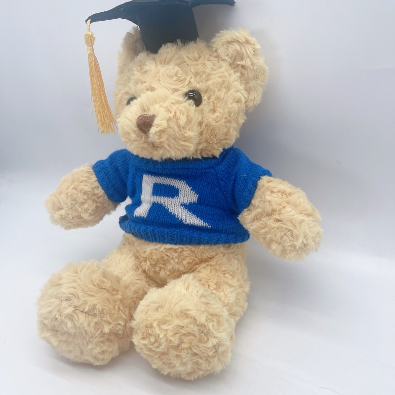Teddy Bear with Hoodies Manufacturer - OEM Custom Embroidered Plush