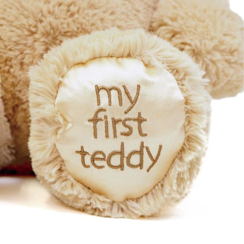 Valentine Bear Toy Manufacturer - OEM Custom My First Teddy