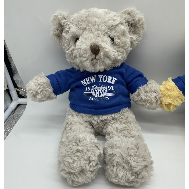 Teddy Bear with Hoodies Manufacturer - OEM Custom Embroidered Plush