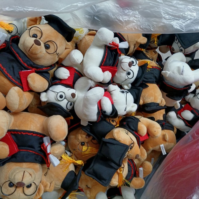 Graduation Bear Plush Factory - Bulk Custom Stuffed Animal Gift