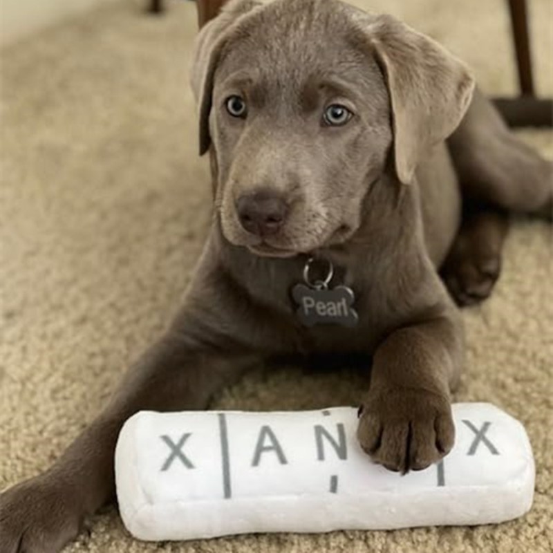 Pet Toy Factory - Chill Pup Parody Toy