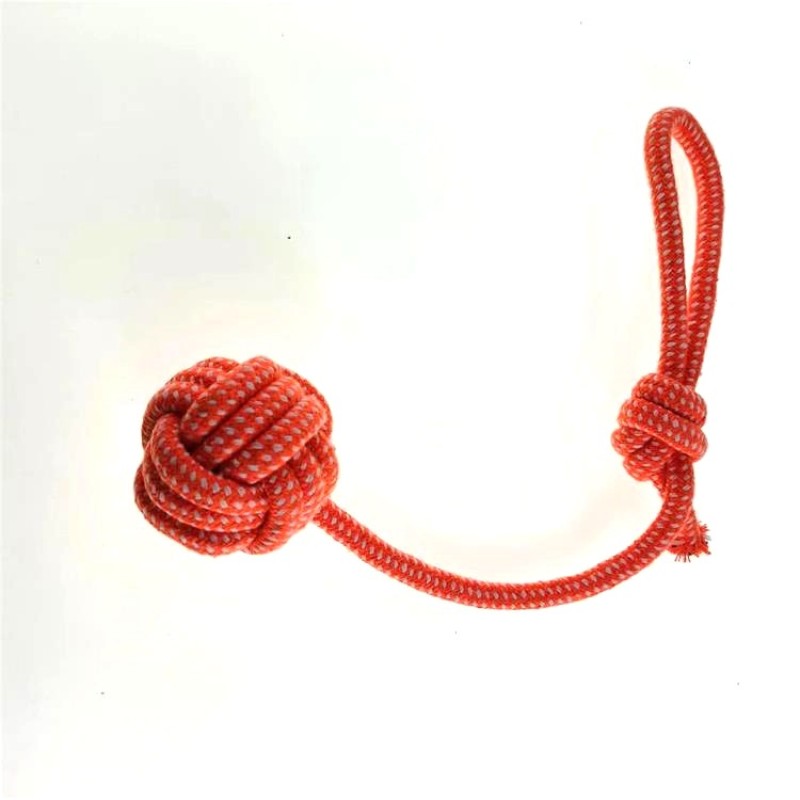 Pet Toy Factory - 10 Piece Bite Training Set