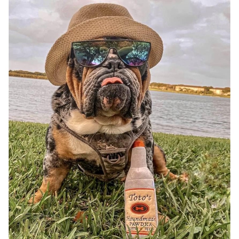 Pet Toy Manufacturer - Wine Bottle Squeaky Toy