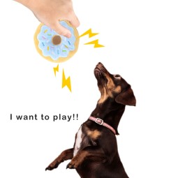 Pet Toy Manufacturer - Personalized Name Squeaky Dog Toy