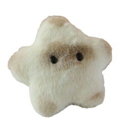 Plush Toy Manufacturer - Capybara Mini Kawaii Purse Keychain