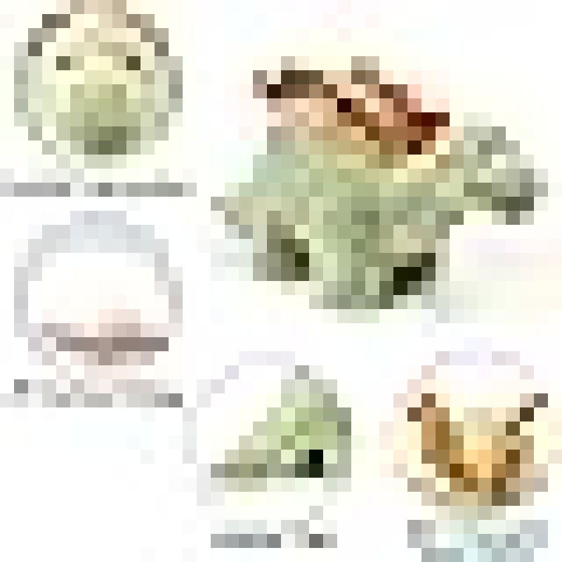 Dinosaur Plush Factory - OEM Custom 39.8cm Stegosaurus