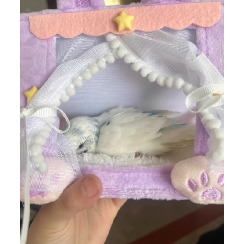 Star Tent Supplier - OEM Custom Crib Canopy Design