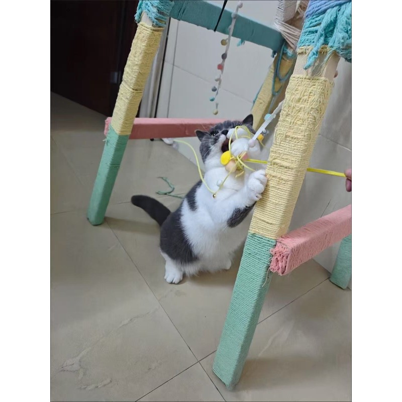 Cat Toy Factory - OEM Custom Plush Biscuit Bone