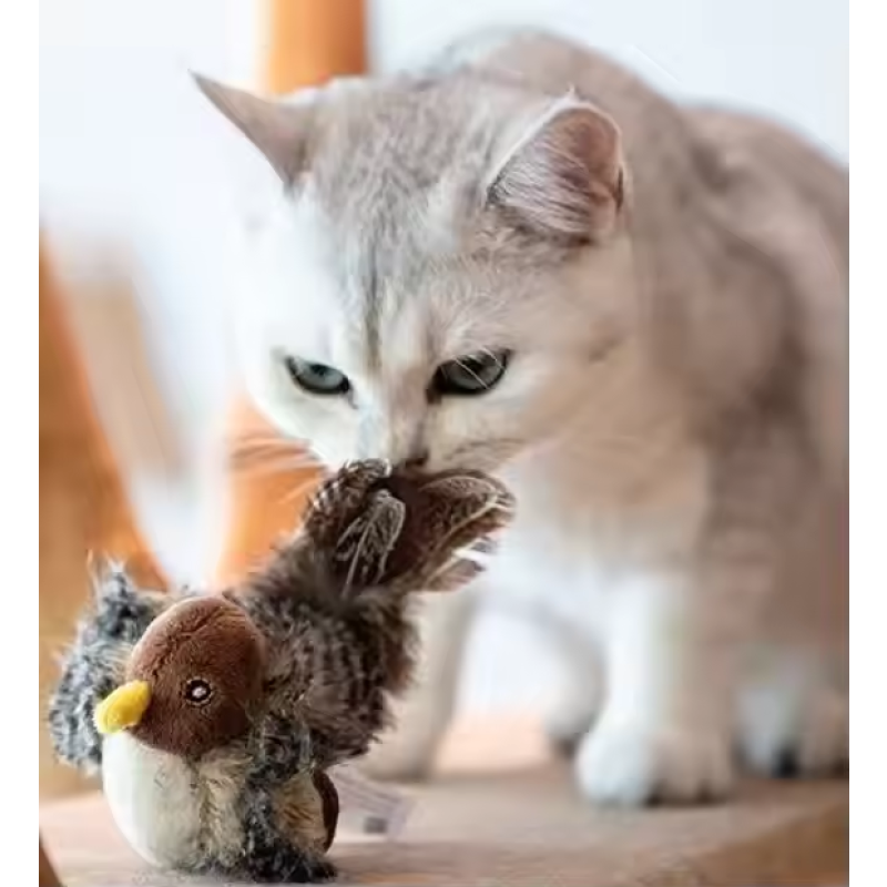Cat Teaser Toy Manufacturer - OEM Custom Bite Resistant Bird
