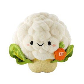 Broccoli Plush Toy Manufacturer - OEM Custom Food Vegetable Toy