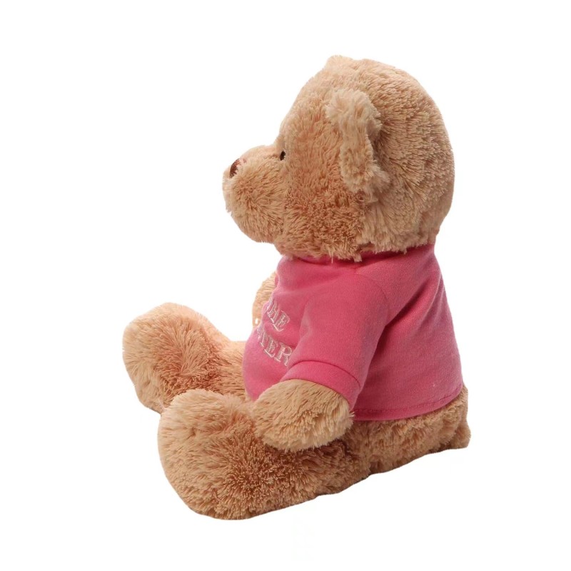 Teddy Bear Factory - OEM Custom Color T-shirt Design