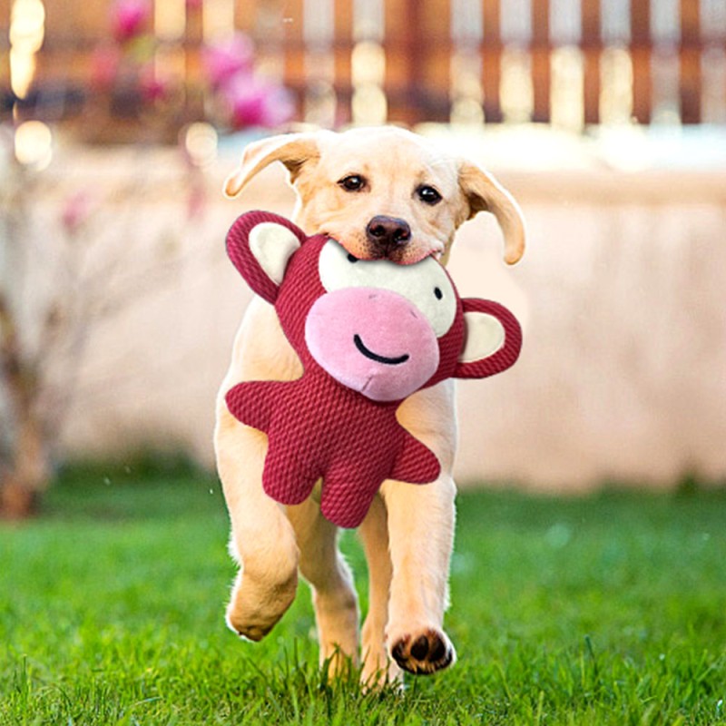 Pet Plush Toy Supplier - OEM Custom Squeaky Interactive