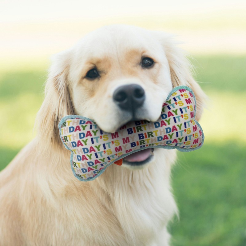 Pet Plush Toy Factory - OEM Custom Bone Shaped Chew