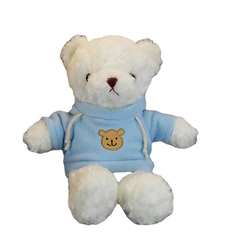 Teddy Bear Toy Supplier - OEM Custom Color Soft Plush