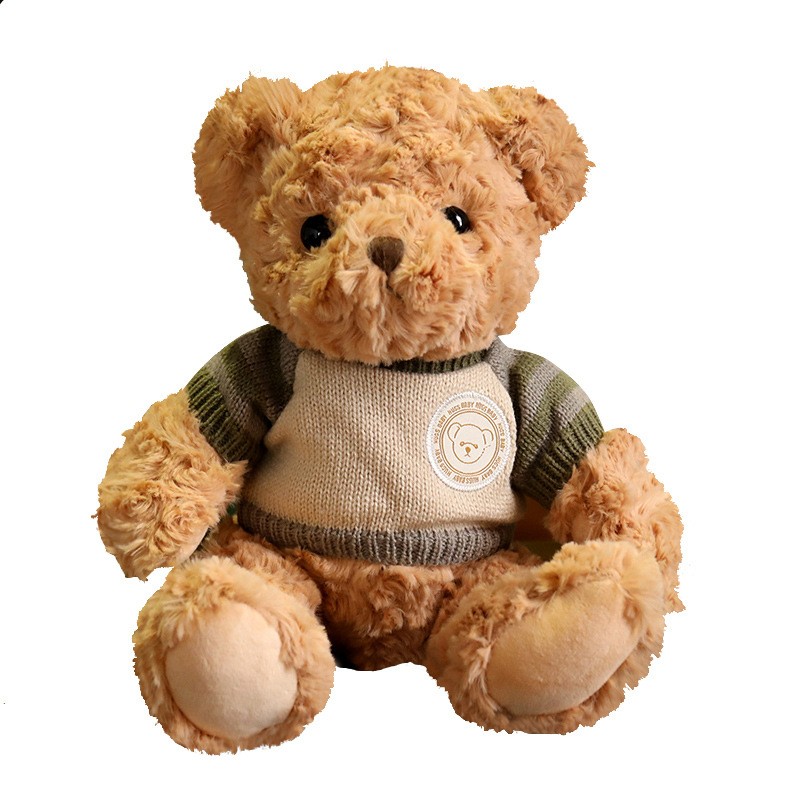 Plush Teddy Bear Supplier - OEM 25-45cm Cuddly Toy
